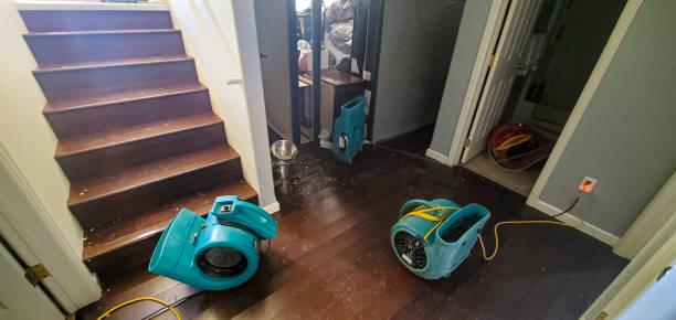 Best Carpet water damage restoration  in Soledad, CA