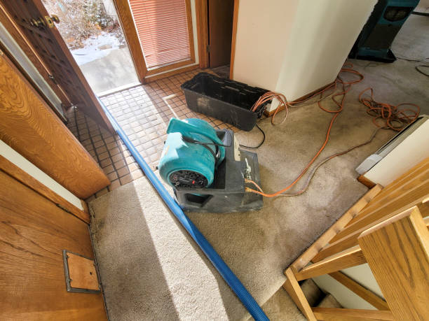 Best Mold removal after water damage  in Soledad, CA
