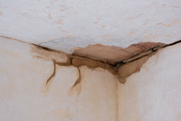 Best Water damage restoration near me  in Soledad, CA